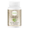 MADENA SiboEx intestinal bacteria complex without soluble fibre, 60 capsules
