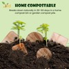 Ved 25 Disposable Eco-Friendly, Biodegradable Areca Leaf Plates 4" (10cm)