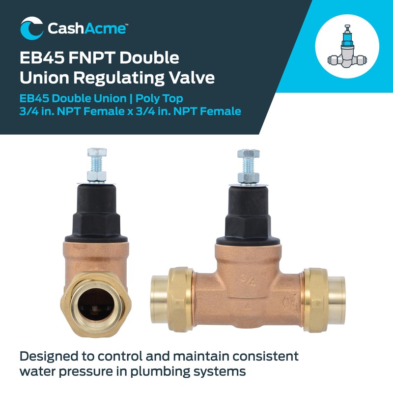 Cash Acme EB45 Pressure Regulating Valve, Double Union, 3/4 Inch