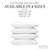 Down Dreams Manchester Mills Classic Pillows - Queen/Medium Support, 2-Pack
