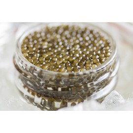 GUARANTEED OVERNIGHT! Royal Osetra Caviar 1oz + Mother of Pearl Spoon