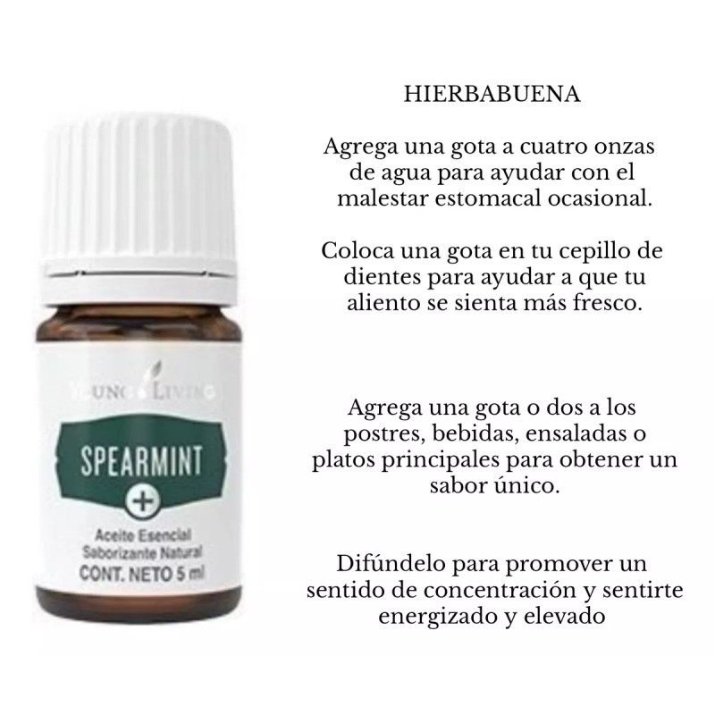 Young Living Aceite Esencial De Hierbabuena Young Living