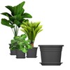 BigDean 6 x Flower Pot Saucers, Diameter 29 cm, Colour:
