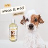 Mundo Lomito Shampoo para Perros Avena y Miel Natural con