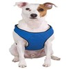 Guardian Gear Nylon Lift and Lead 4-in-1 Dog Harness, Small,