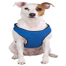 Guardian Gear Nylon Lift and Lead 4-in-1 Dog Harness, Small, Blue