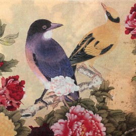 Colored Paper Napkins, 20 Count Shabby Chic Napkins for Wedding, Dinner Tea Party Shower (Magpie & Peony)