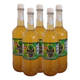 5 Jugo De Magey Silvestre 1l Suplemento Alimenticio Natural