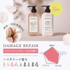 DROAS Damage Repair Shampoo and Conditioner, Refill Pack, Refreshing Floral
