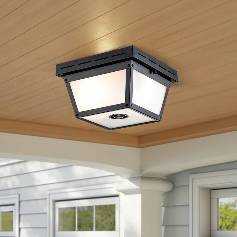 c cattleya 2-Light Motion Sensor Ceiling Light Fixture Outdoor Flush