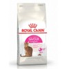 Royal Canin FHN Saber Excessive for Cats, 14.1 oz (400