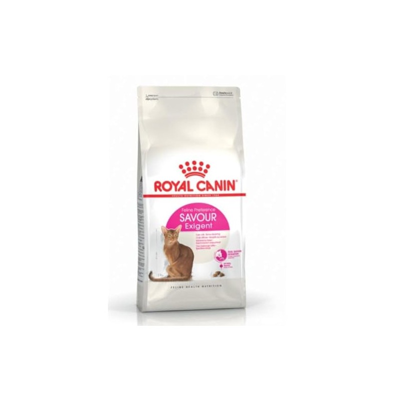 Royal Canin FHN Saber Excessive for Cats, 14.1 oz (400