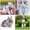 VINEST Cat Harness with Lead, Escape Proof for 2.5-5.5 kg
