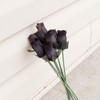 Black Closed Bud Roses 8-Pack