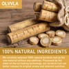 Olvvla - Premium Burdock Root Tea - 2.5g X 60