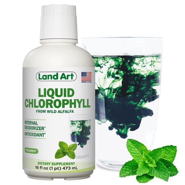 Liquid Chlorophyll Mint Flavored – Cold Extracted from Wild Non-GMO Alfalfa - Alkaline - Natural Body Deodorant – Antioxidant - 16 fl oz