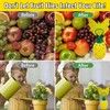 Fruit Fly Trap for Indoors, Effective Fruit Fly Catcher Gnat