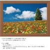 1000 Piece Jigsaw Puzzle Colorful Walk (Hyogo) Compact Piece (10.2