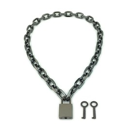 Succuba Padlock Necklace Chain Collar Choker with Two Keys and Box for Women, Men and Pet (C, 16)