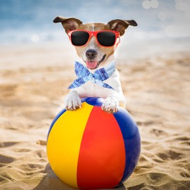 Cooling Collar for Dogs, Dog Neckerchiefs, Cooling Dog Collar, Breathable Heat Dissipation Neckerchief Dog, Cooling Scarf for Summer