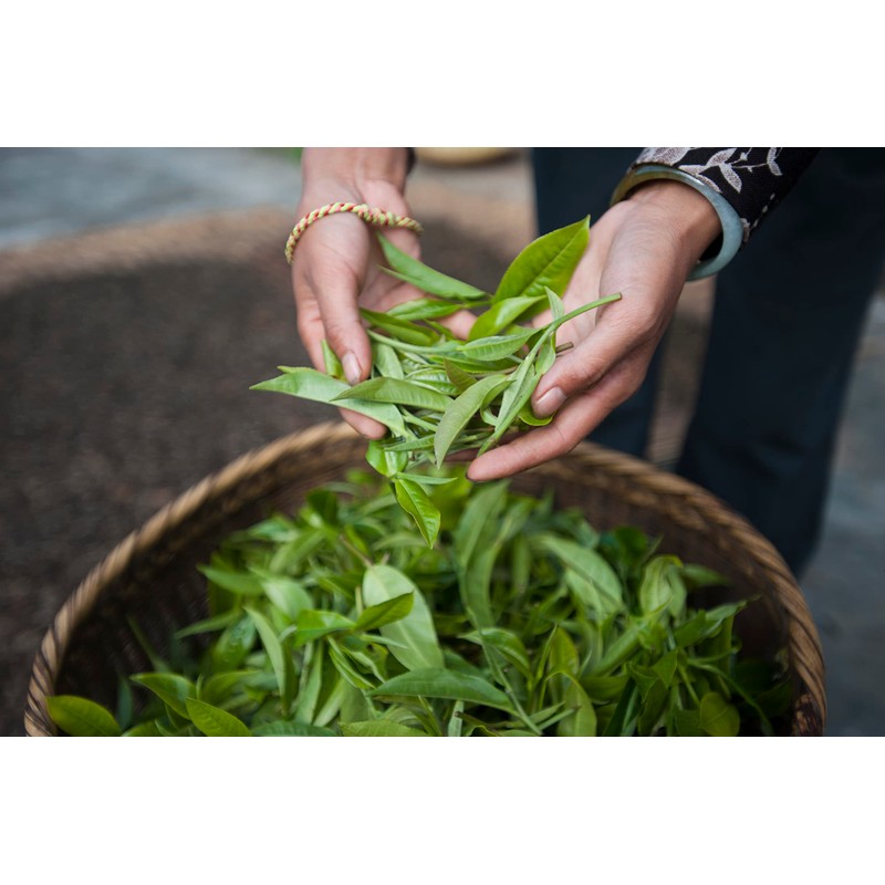 Palais des Thés - Tahitian Rooibos - Caffeine-Free Rooibos Tea
