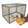 15" H Chicken Pigeon Trap Cage Birdcage Small Animal Trap
