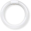 Feit Electric FC9/3CCT/LED Non Dimmable Indoor 9" LED Circline Light