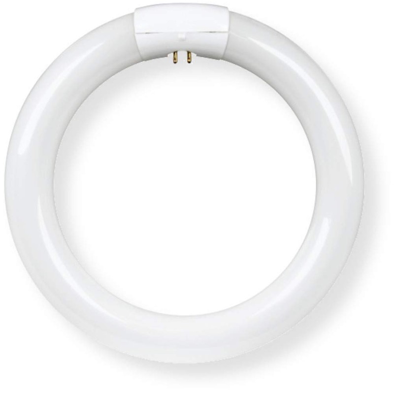 Feit Electric FC9/3CCT/LED Non Dimmable Indoor 9" LED Circline Light