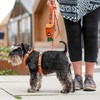 DOG Copenhagen Comfort Walk Air 3.0 Dog Harness - Harness