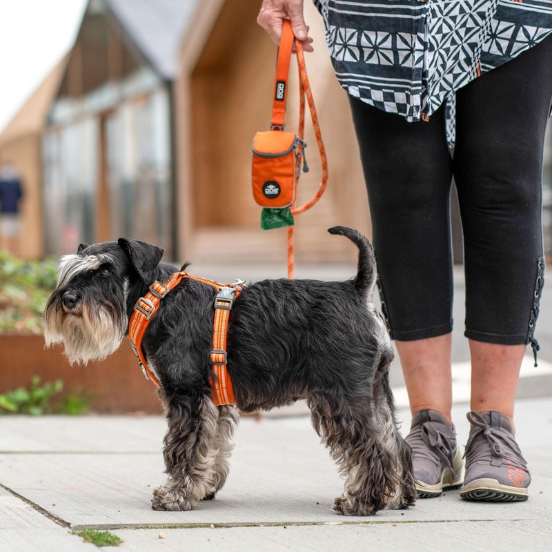DOG Copenhagen Comfort Walk Air 3.0 Dog Harness - Harness