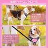 WINSEE Dog Harness, For Small/Medium/Large Dogs, Noble Training, Escape Prevention,