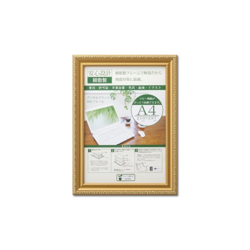 Daisen Picture Frame OA Frame Gold R A4 Resin Boxed