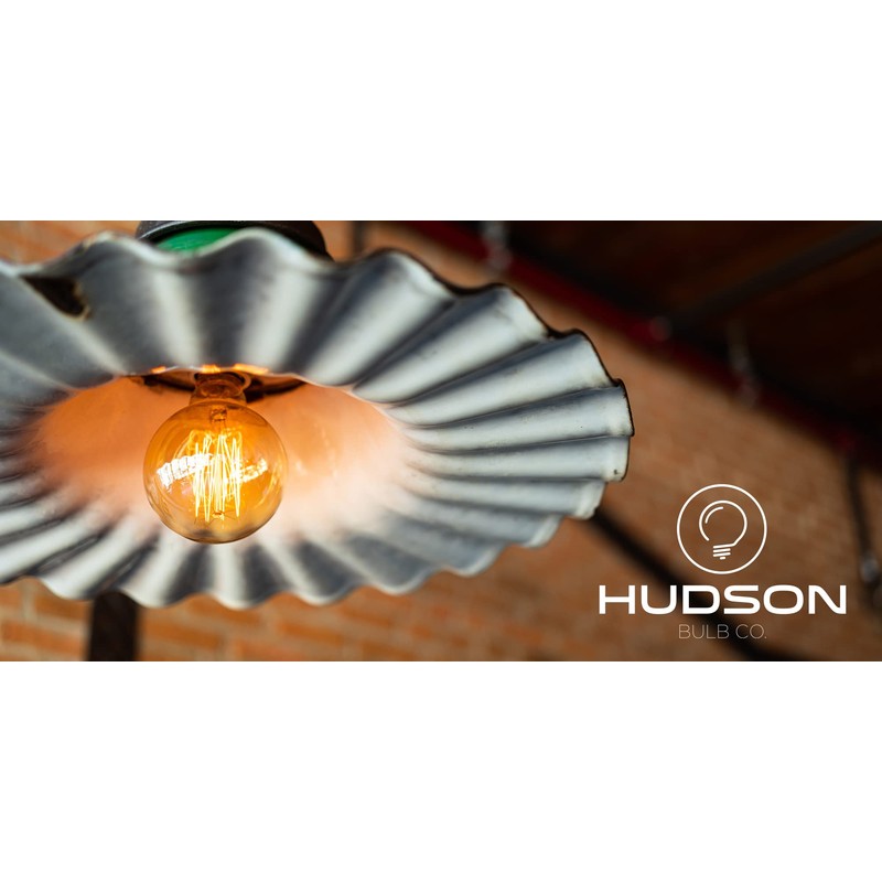 Hudson 6W Edison LED Light Bulb - G25 Globe, 4-Pack,