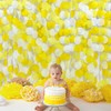 205Ft Yellow Tissue Paper Garland Big Circle Dots Hanging Streamer