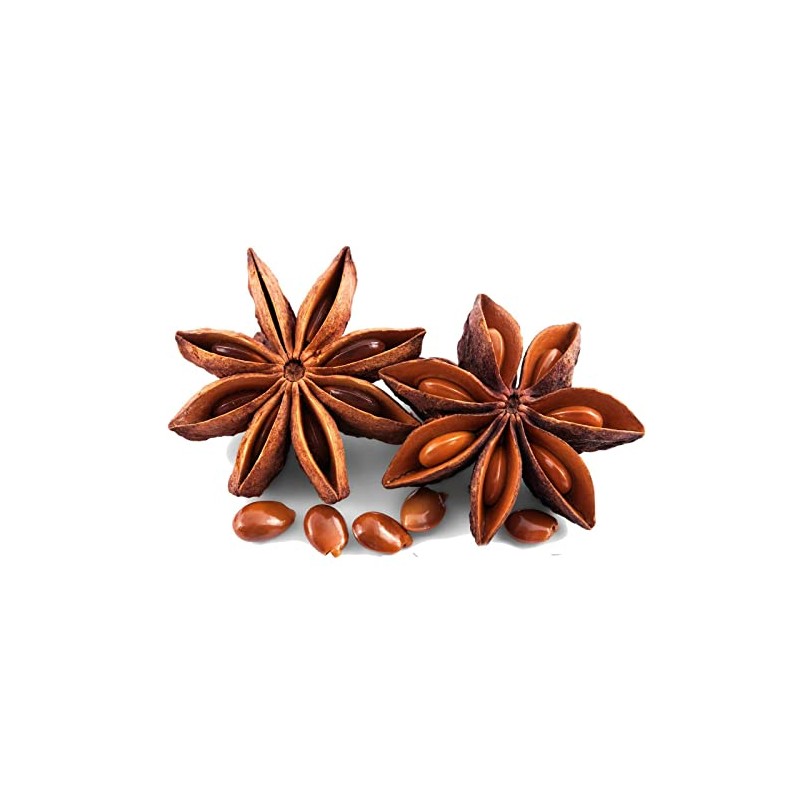 Crazee Deal | STAR ANISE WHOLE 50g