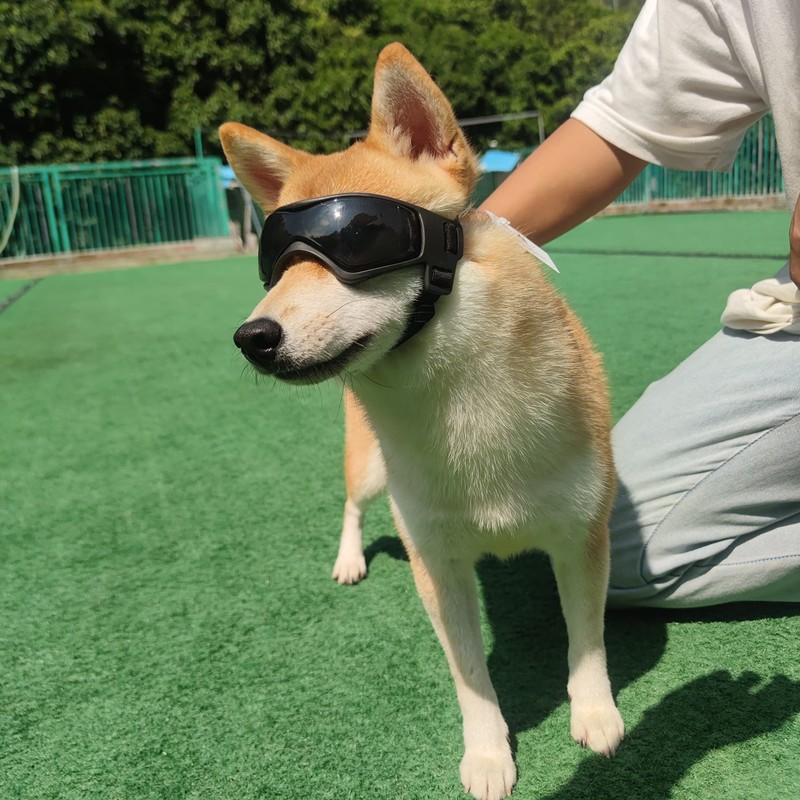 PETLESO Dog Goggles Small Breed, UV Protection Dog Sunglasses for