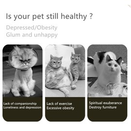 Catnip Toys Feather Mice Animal Toys Baton Teaser Stick Pet Kitten Catching Interactive Wand Rope IQ Puzzle Training Games Spring Retractable Sucker Bells Tassel Tumbler(Carrot Set)