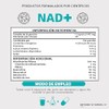 NAD NR Nicotinamida Ribosa potenciado con Resveratrol, Quercetina, Betaina HCL
