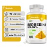 Berberina Hcl Clorhidrato Cápsulas Días Potente Formulacion Alta Concentracion Absorcion