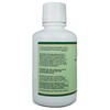 Liquid Chlorophyll 16oz. | Natural Mint Flavor | Immune Health