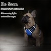 Funfox Dog Harness Large Dog, 2 Clips No Pull Vest