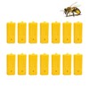Bee Queen Cages, Plastic Queen Bee Cages, Queen Bee Cages,