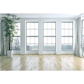 Renaiss 3 x 2.5 m French Window Living Room Background Wooden Floor Empty Space Photography Background Plants Modern Interior Decoration Office Furniture Video Conference Studio Props