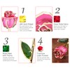 Ejoyous Gold Rose