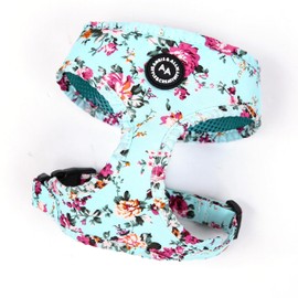 Angie and Allie Organic Cotton Dog Harness,No Pull Pet Harness with Leash D-Ring,Adjustable Soft Padded Dog Vest,Comfortable,Sustainable,Breathable and Stylish for Your Canine Companion