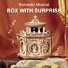 RoWood 3D Wooden Puzzles for Adults, Music Box Brain Teaser
