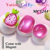 Double Rhythm 0.5 OZ Cat Eye Gel Polish with Magnet