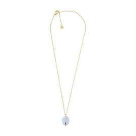 Skagen SKJ1578710 Sea Glass Necklace for Women Total Length: 40 cm + 5 cm Gold Stainless Steel Necklace, Stainless Steel, No Gemstone