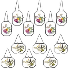 Wenqik 12 Pcs Pressed Flower Glass Picture Frames 2.5 x 3.5 Inch Hanging Double Glass Frame Floating Photo Frame Clear Vertical Frames with Chain for Gallery Vintage Artwork Display(Gold)