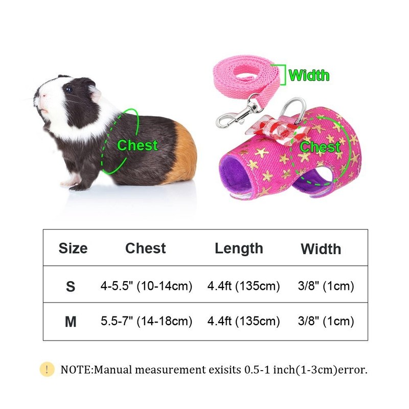 Stock Show Small Pet Outdoor Walking Harness Vest and Leash